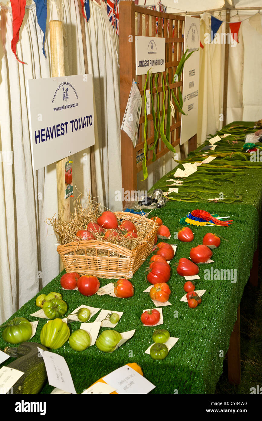 Des entrées dans le plus lourd des tomates à la concurrence de l'Agriculture et de l'Aylsham, Norfolk, Royaume-Uni. Banque D'Images