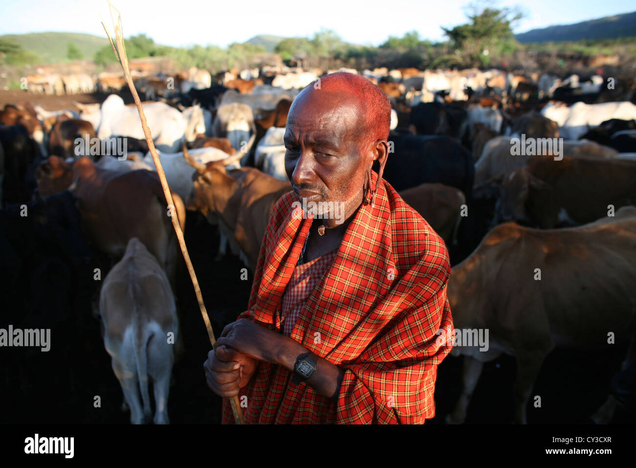 Tribu Maasai au Kenya Banque D'Images