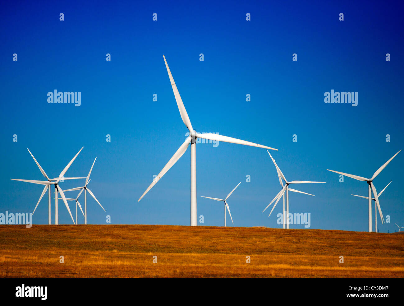 Prairie Wind Turbines Banque D'Images