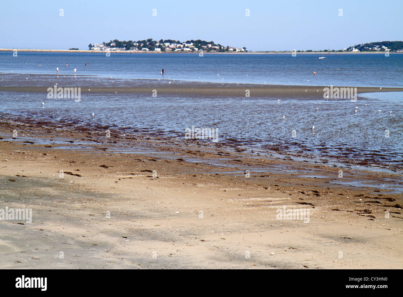 Boston Massachusetts, Revere Beach, panneau, première première plage publique, Broad Sound, Little Nahant Island, marée basse, eau, MA120827011 Banque D'Images