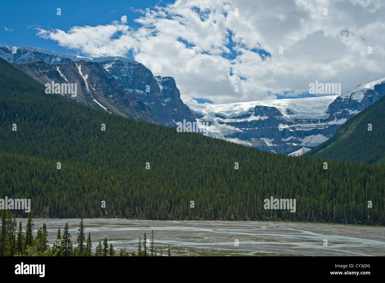 Le Parc National Jasper Banque D'Images