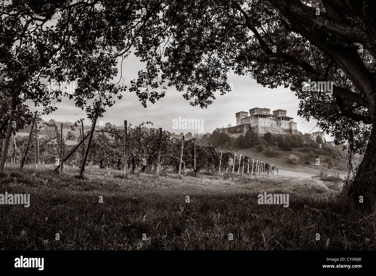 Le château de Torrechiara, Emilia-Romagna, Italie Banque D'Images