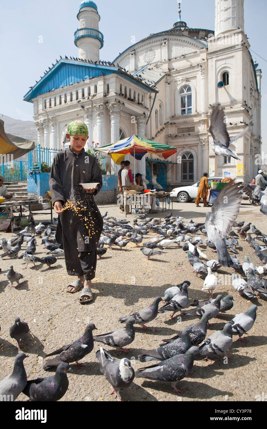 Garçon Afghan nourrir les pigeons dans une mosquée de Kaboul, Afghanistan Banque D'Images