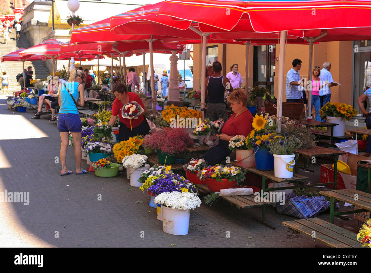 Marché aux fleurs dans la ville de Zagreb Croatie un dimanche matin Banque D'Images