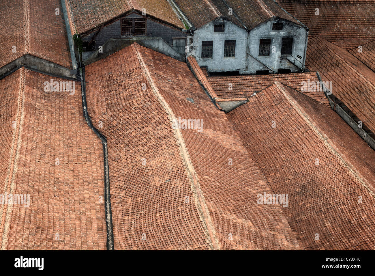 Vila Nova de Gaia, Chais des toits, Porto, Portugal Banque D'Images