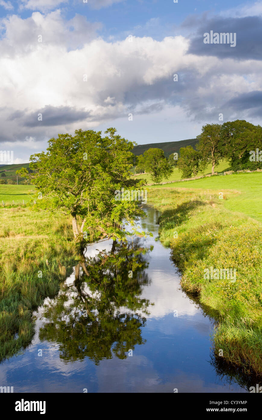 Bain rivière, arbre et la réflexion dans les vallées du Yorkshire en Angleterre Banque D'Images