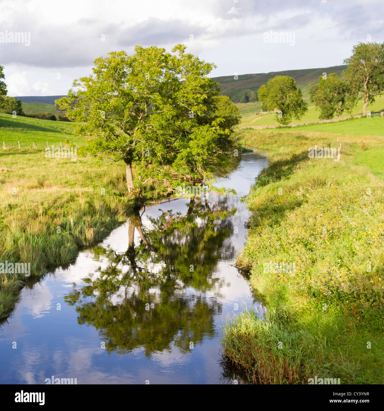 Bain rivière, arbre et la réflexion dans les vallées du Yorkshire en Angleterre Banque D'Images