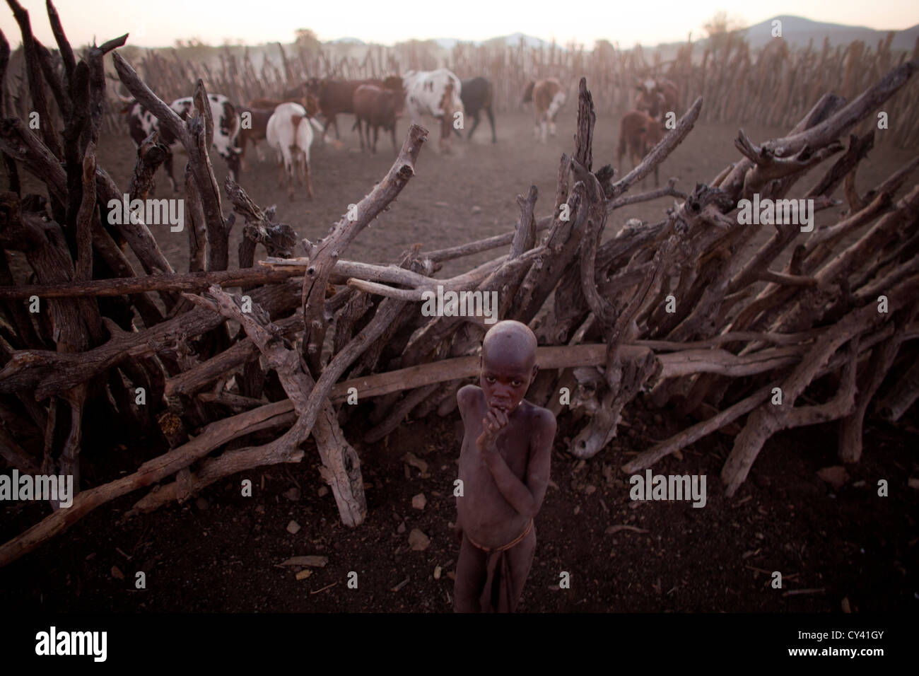 Tribu Himba en Namibie. Banque D'Images