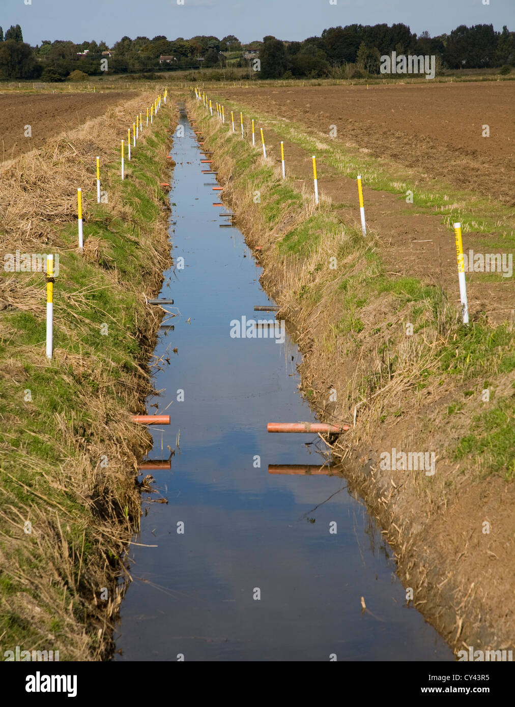 Fossé de drainage Hollesley récemment rénové, Suffolk, Angleterre Banque D'Images