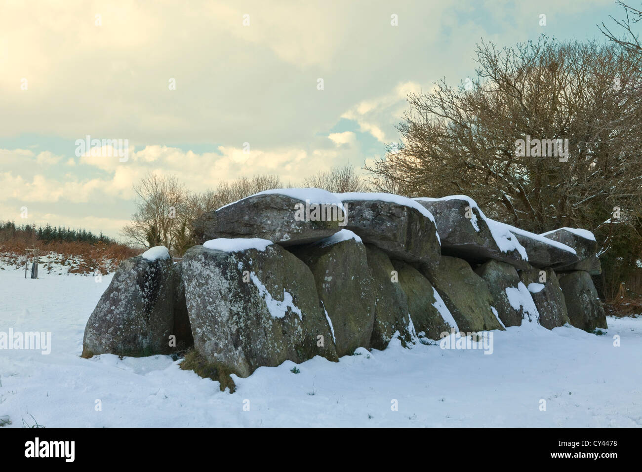 Europe, France, Bretagne, Finistère (29) . Parc naturel régional d'Armorique, les Monts Arrée Commana, Mégalithe de neige Banque D'Images