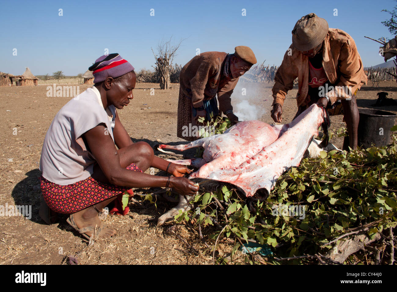 Tribu Himba en Namibie. Banque D'Images