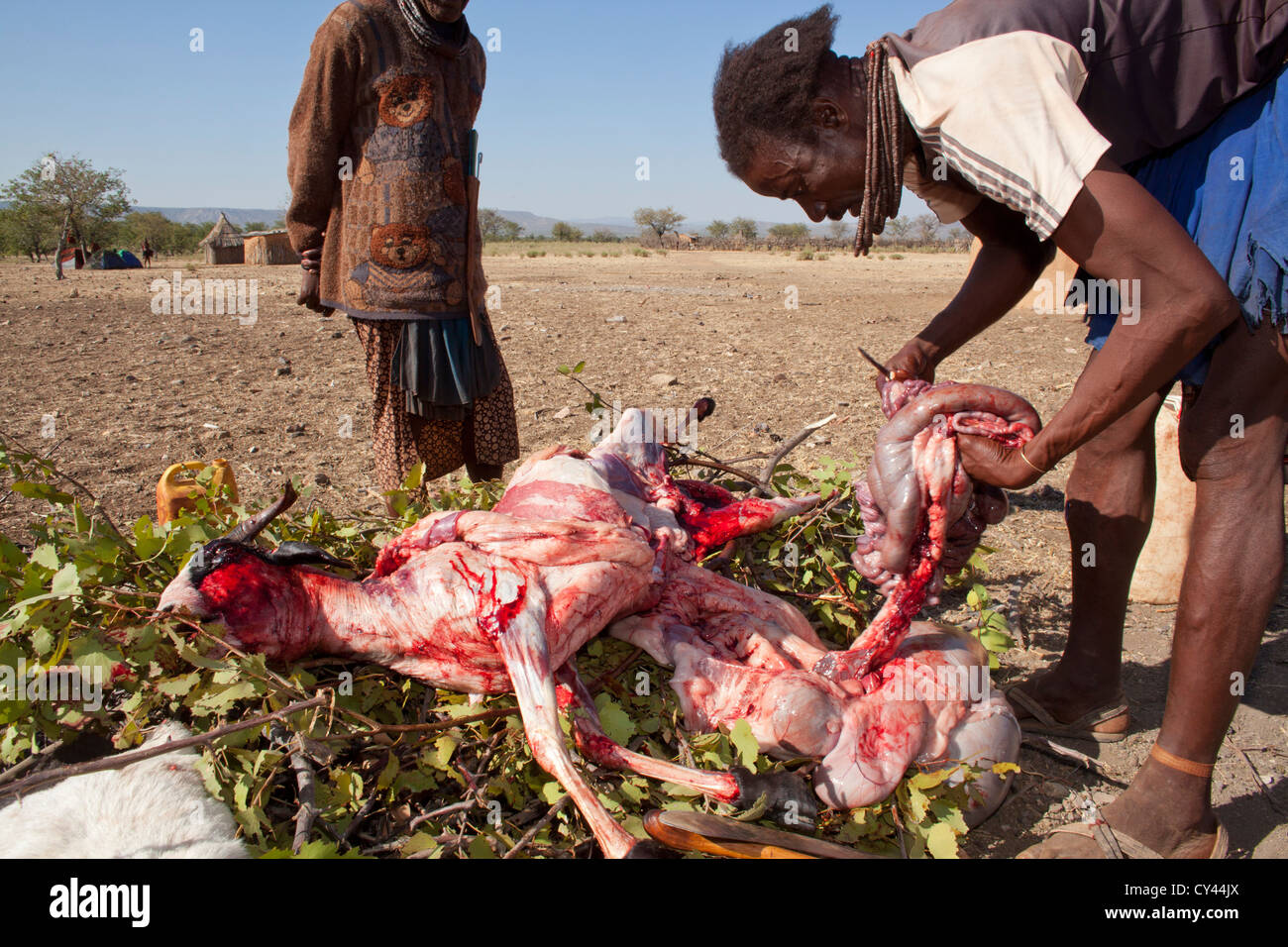 Tribu Himba en Namibie. Banque D'Images