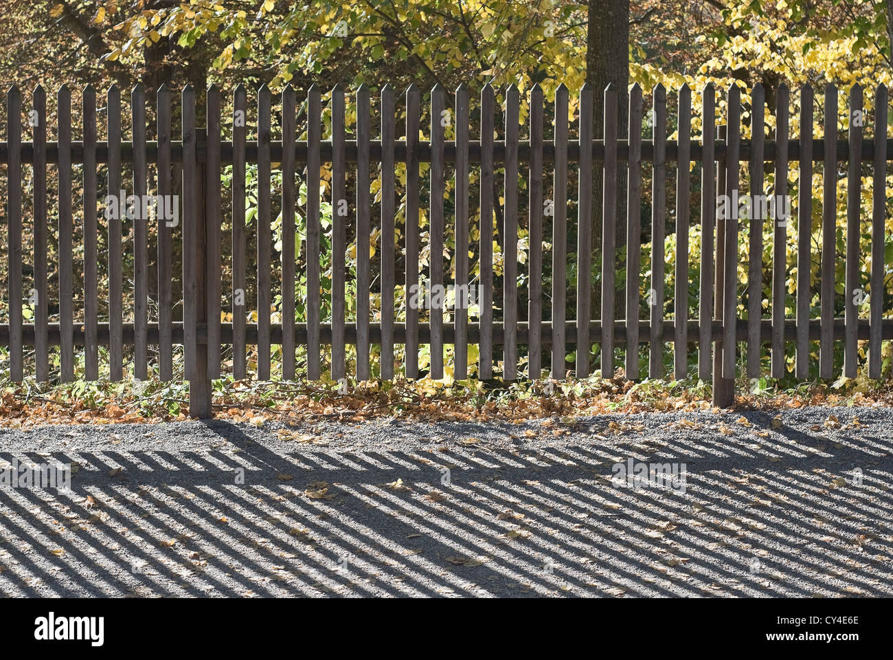 Modèle Sun sur une clôture en bois Banque D'Images