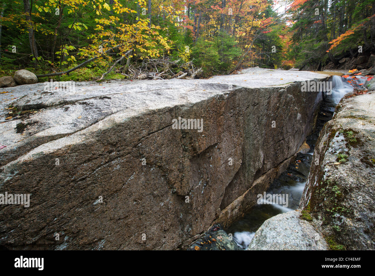 South Fork de la Direction générale de Hancock dans les Montagnes