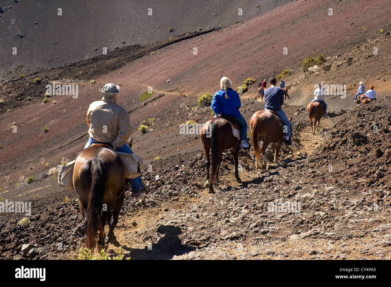 Hawaii Maui284-4966 wapitis du parc national de Haleakala Crater Randonnée cheval intérieur Banque D'Images