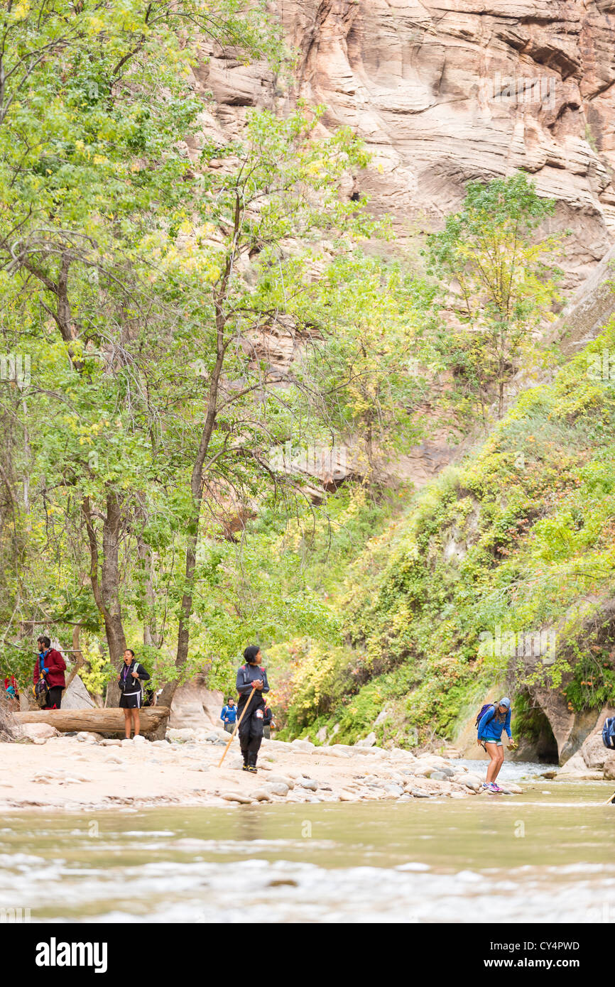 Les randonneurs à marcher le long de la Virgin River Narrows section de Zion National Park, Utah Banque D'Images