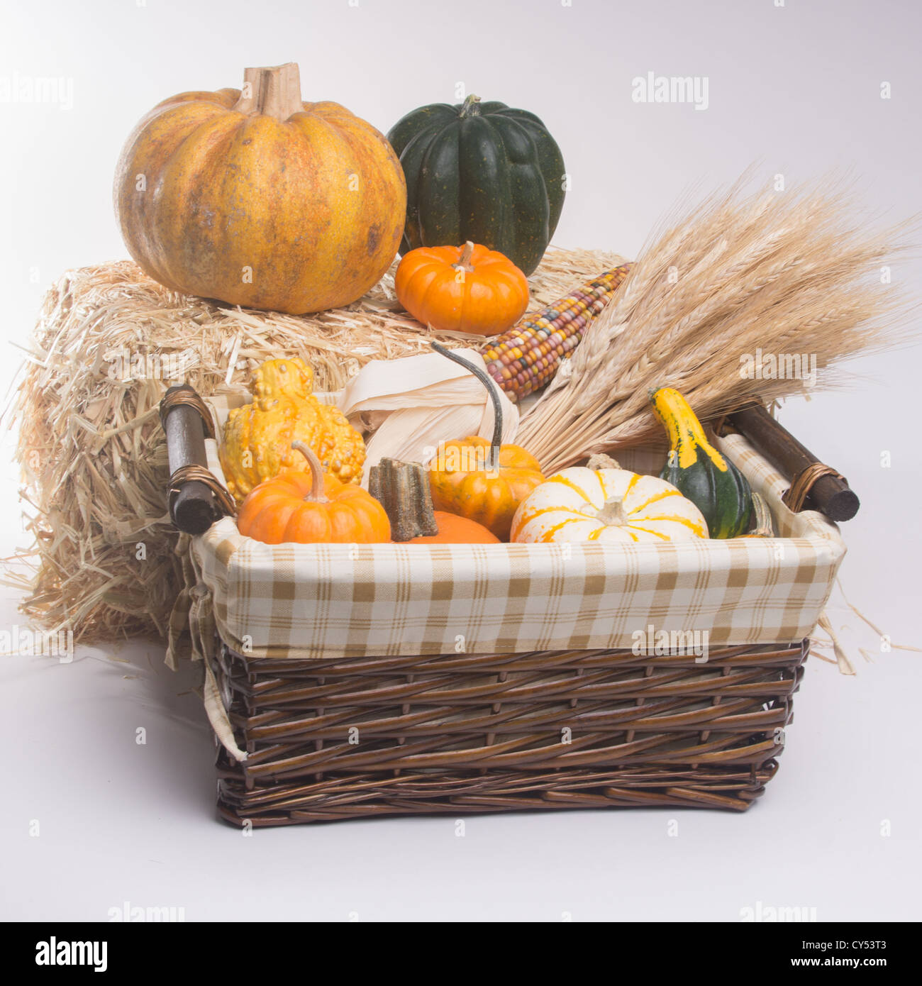 Panier avec des citrouilles, courges, courge poivrée, le maïs et le blé, les tiges. Isolé sur fond blanc avec ombre légère Banque D'Images