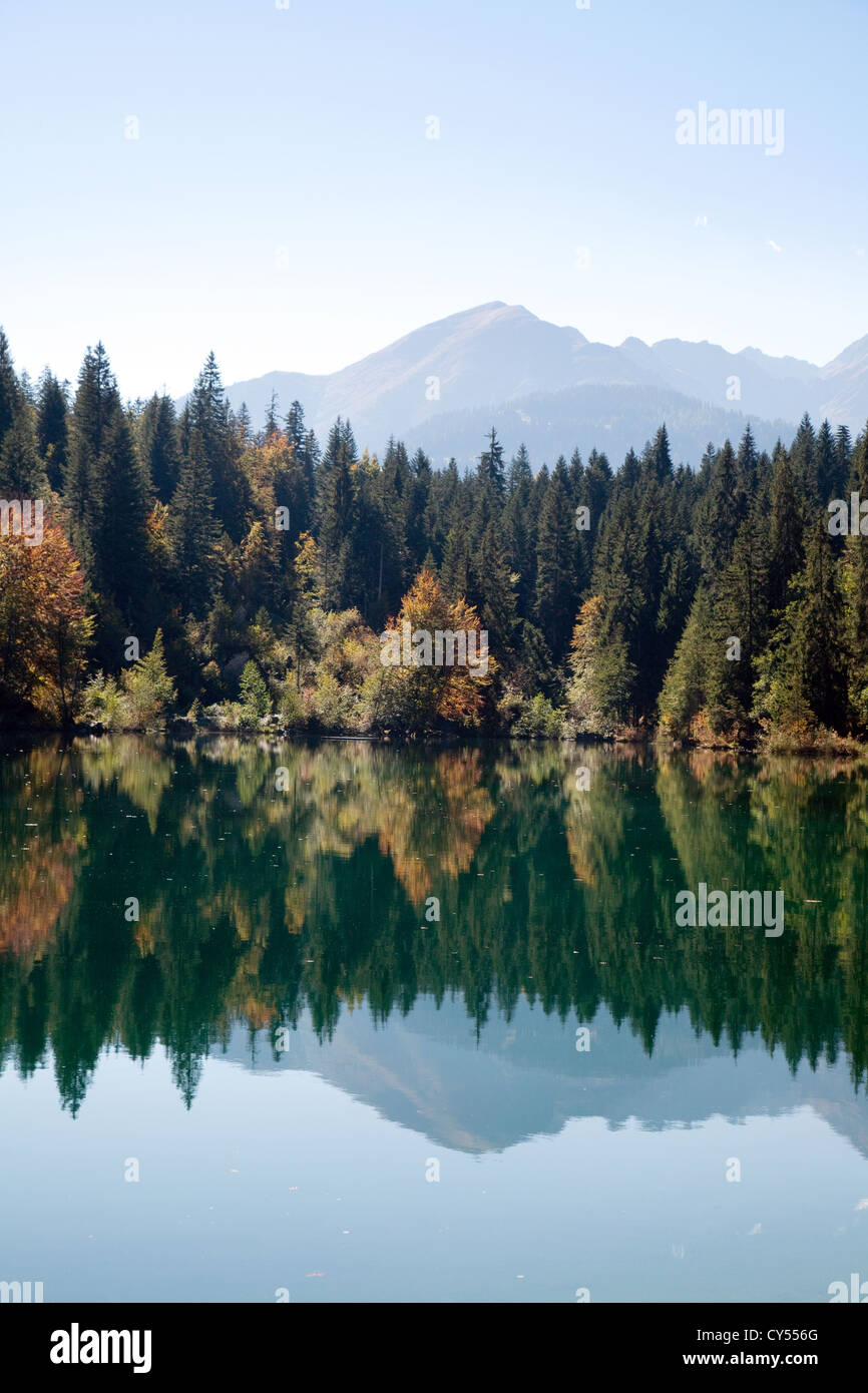 Lacs, montagnes et forêts automne automne paysage alpin, le lac Cresta ( Crestasee ), Flims Suisse Banque D'Images