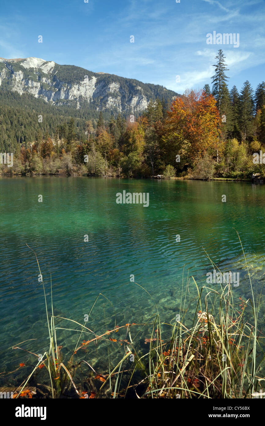Campagne automne paysages, lacs de montagnes et d'arbres, lac Cresta ( Crestasee ) Flims, Suisse Banque D'Images