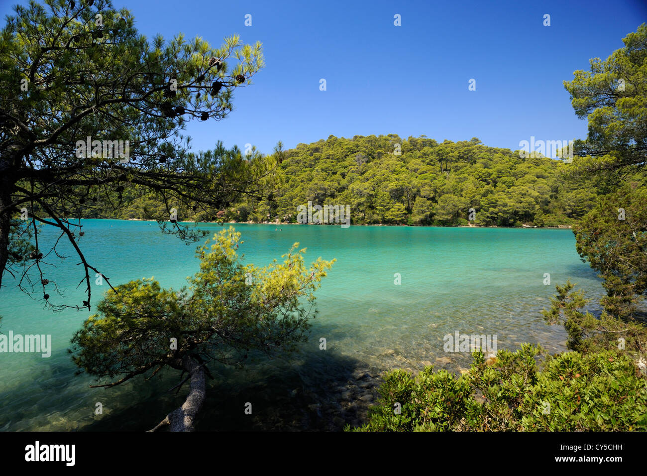 Croatie, Dalmatie, île de Mljet, lac Malo Jezero Banque D'Images