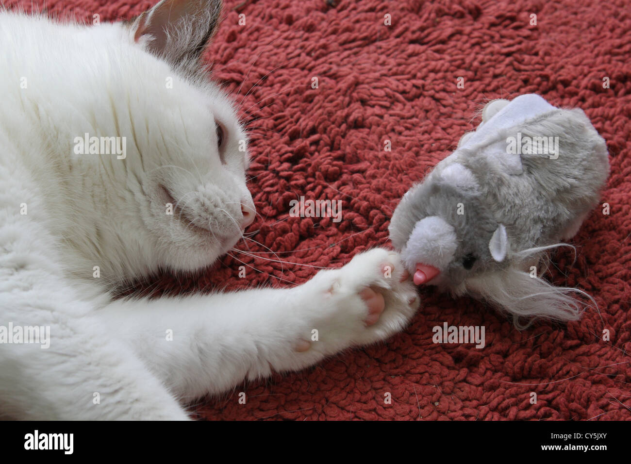 Un chat jouant avec une souris jouet. Banque D'Images