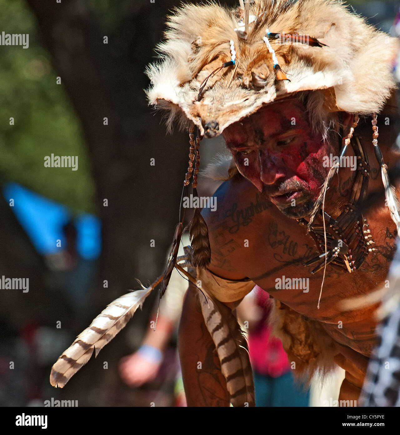 Native American man Chumash, danseur d'herbe, à l'Inter Tribal 2012 Pow Wow, Live Oak camp, Santa Ynez Valley, Californie Banque D'Images