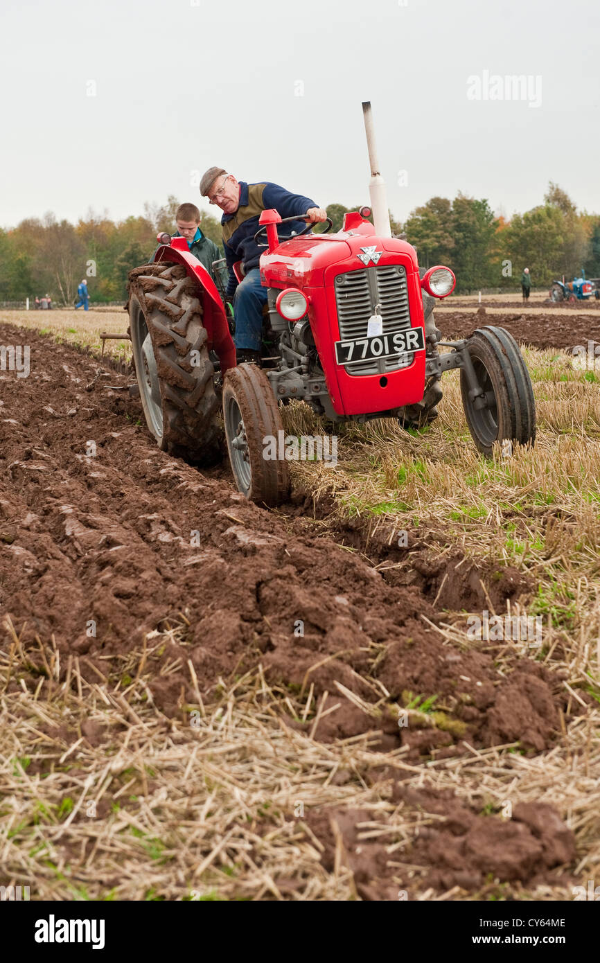 Concours de labour dans le Perthshire, Écosse Banque D'Images