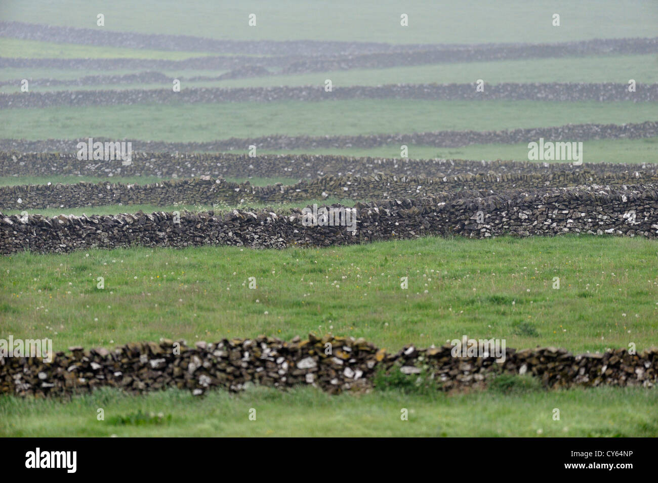 Les murs de pierres sèches - bordures de champ Banque D'Images