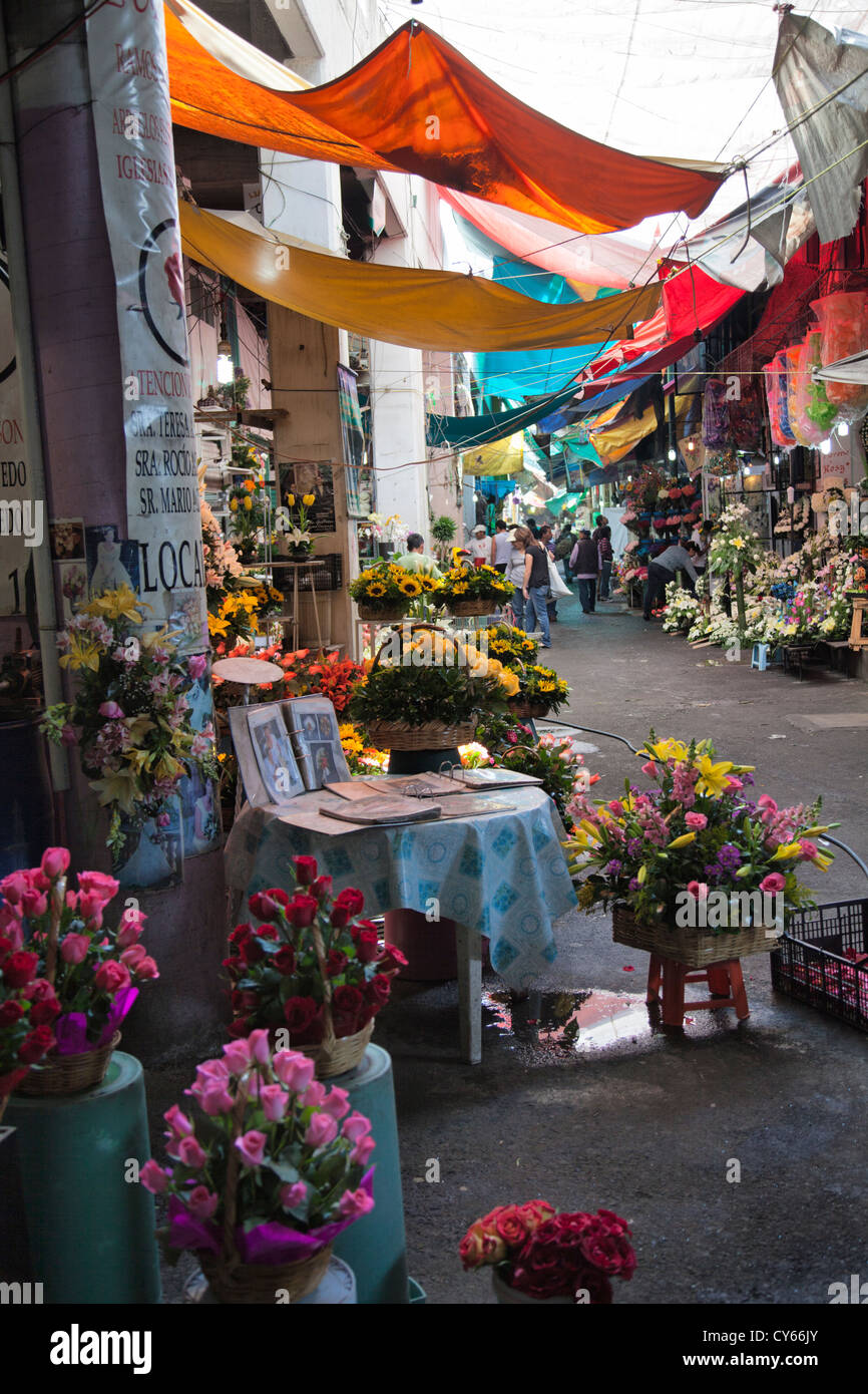 Marché aux Fleurs allée à la Jamaïque à Colonia la Jamaïque à Venustiano Carranza borough de la ville de Mexico DF Banque D'Images