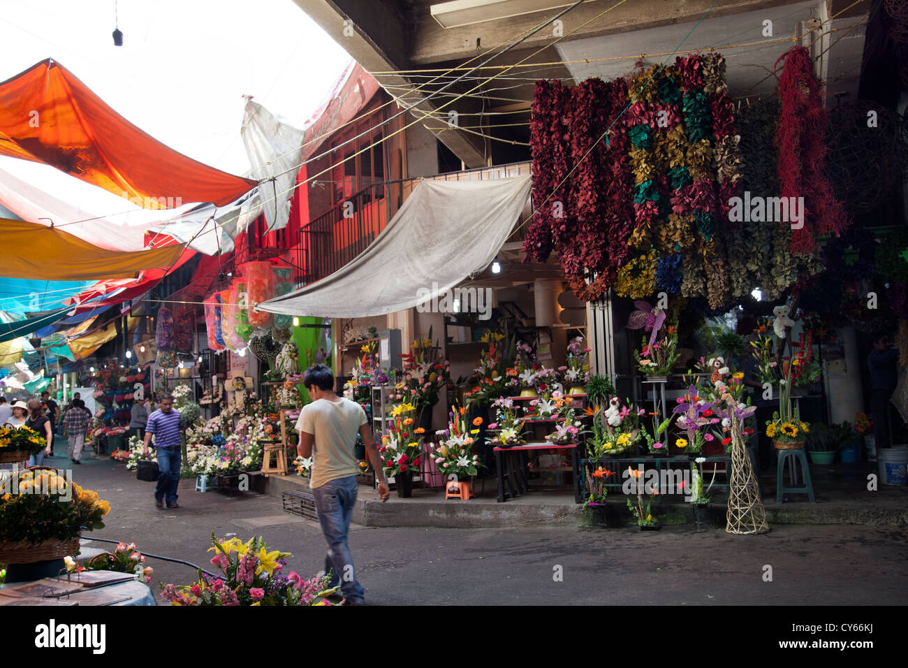 Marché aux Fleurs allée à la Jamaïque à Colonia la Jamaïque à Venustiano Carranza borough de la ville de Mexico Banque D'Images