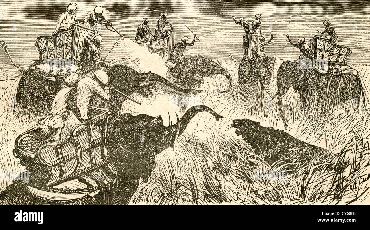Les chasseurs montés sur des éléphants, au cours d'une chasse au tigre en Inde au 19e siècle. Banque D'Images