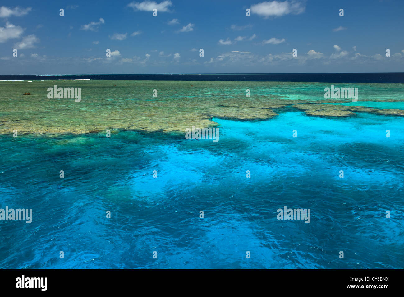 Les modèles colorés de la mer, jardins de palourdes et des colonies sous l'eau à Great Barrier Reef Marine Park Jardins de bénitiers Banque D'Images