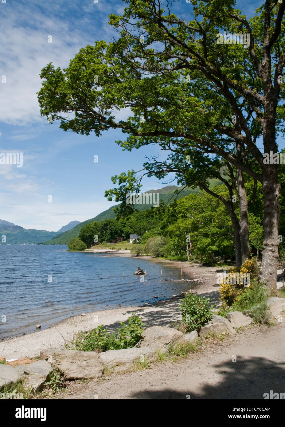 Rives du Loch Lomond Banque D'Images