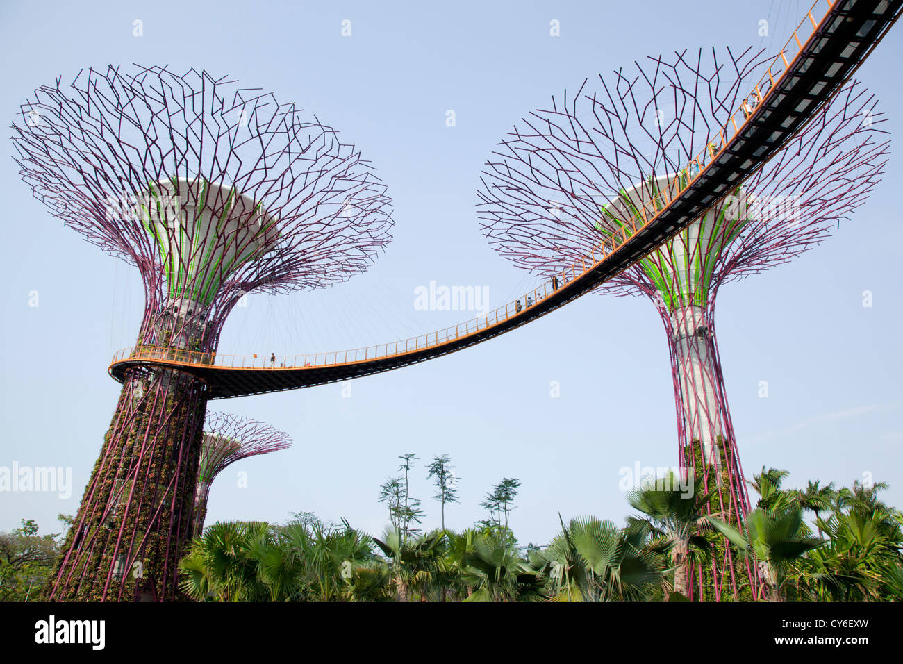 gardens-by-the-bay-of-singapore-banque-de-photographies-et-d-images