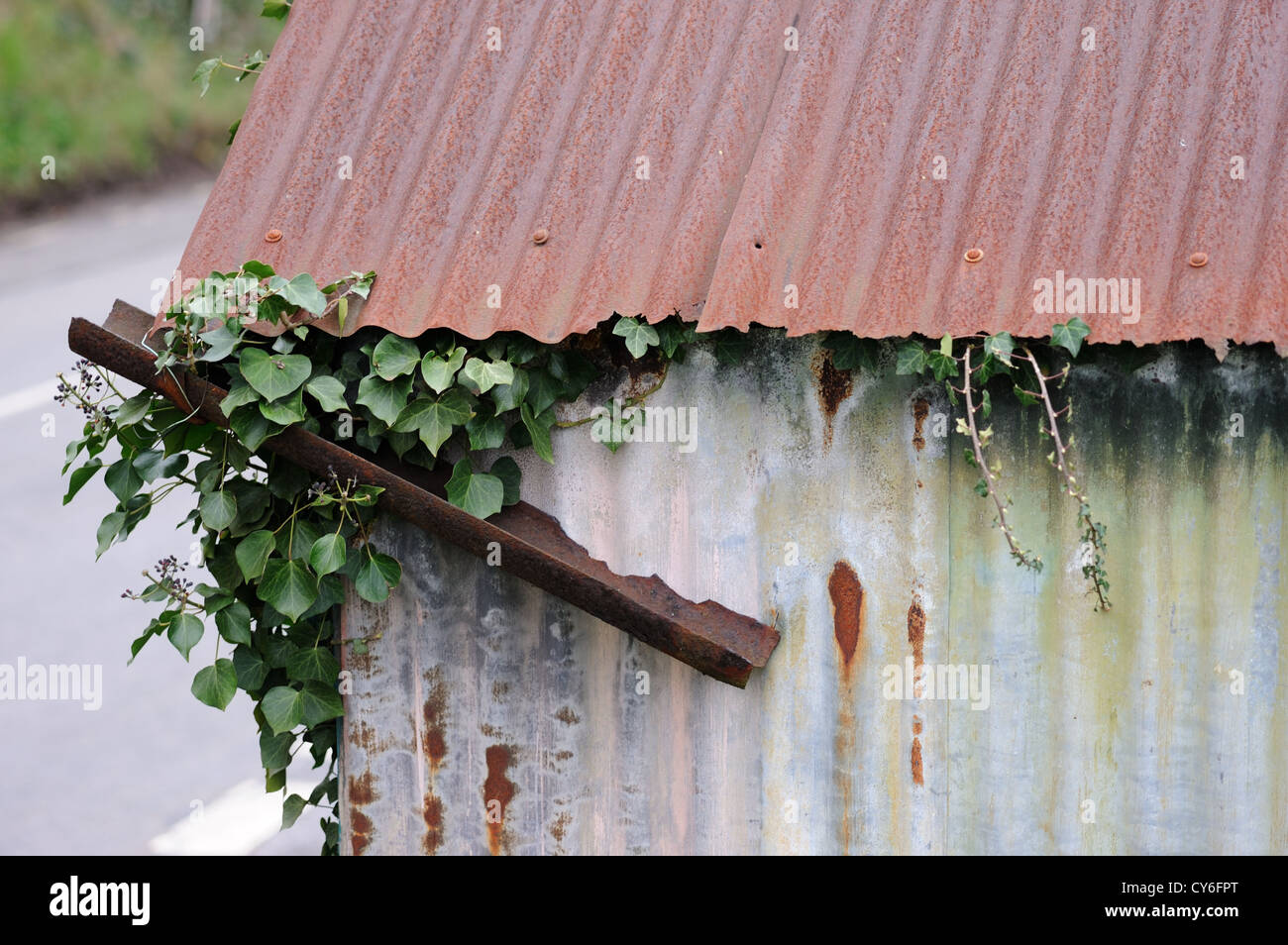 Rusty gouttière pourri sur un vieux hangar Banque D'Images