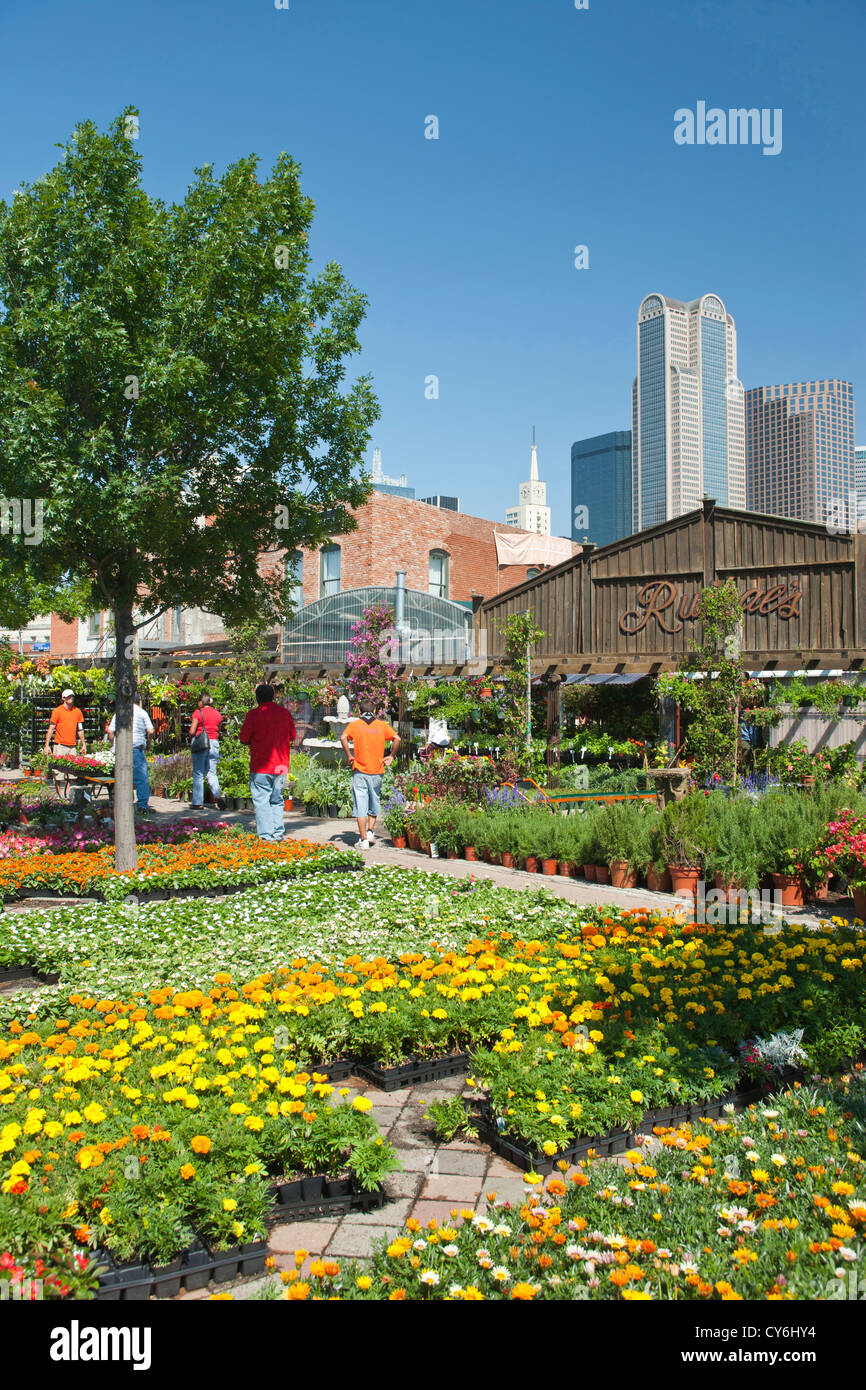 Les bacs de fleurs MARCHÉ DE PRODUCTEURS AU CENTRE-VILLE DE DALLAS TEXAS USA Banque D'Images