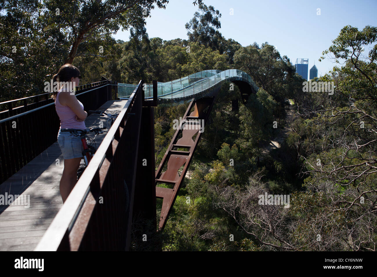 Tree Top walk way à Kings Park, Perth Australie Banque D'Images