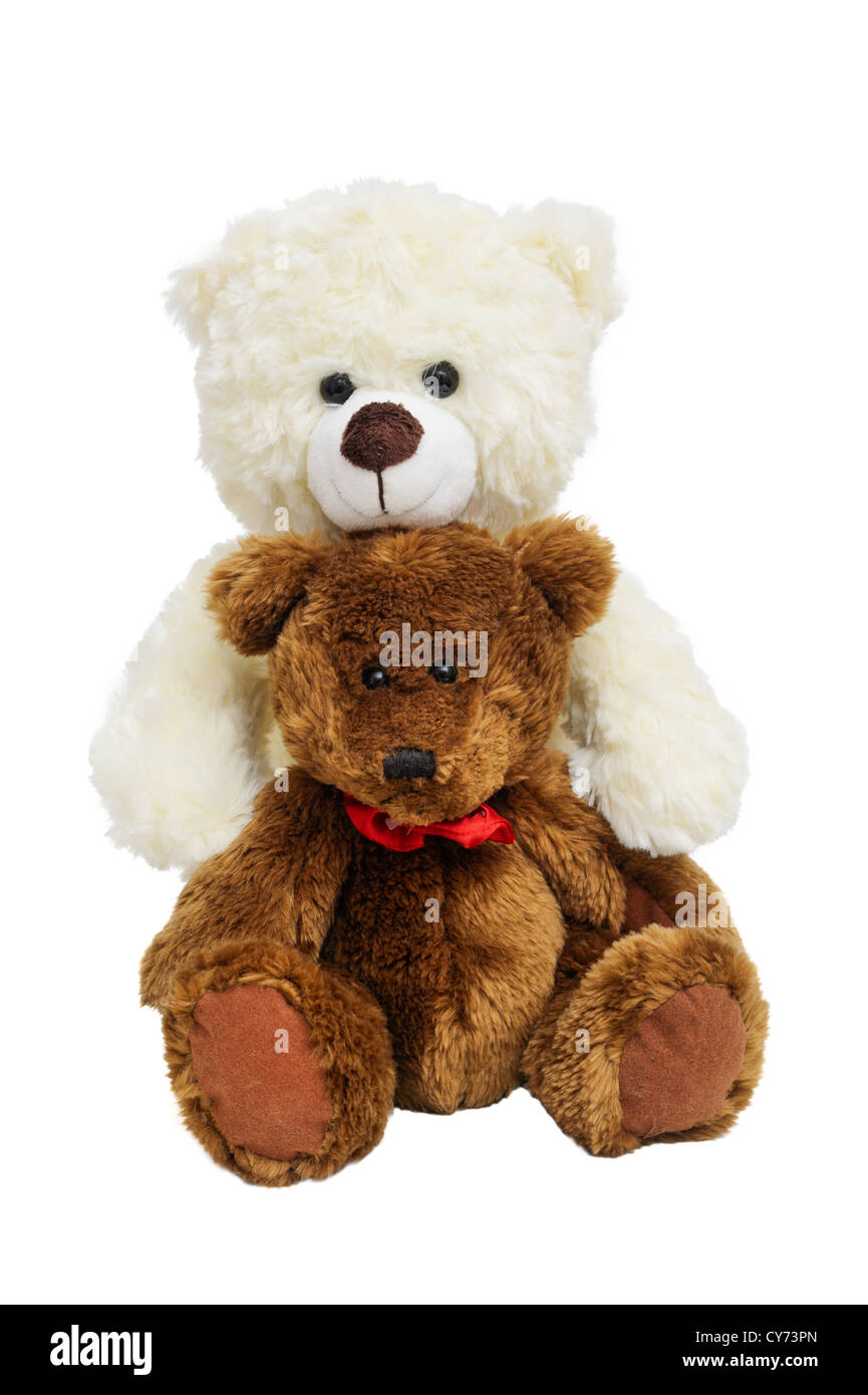 Deux ours en serrant sur blanc fond isolé Banque D'Images