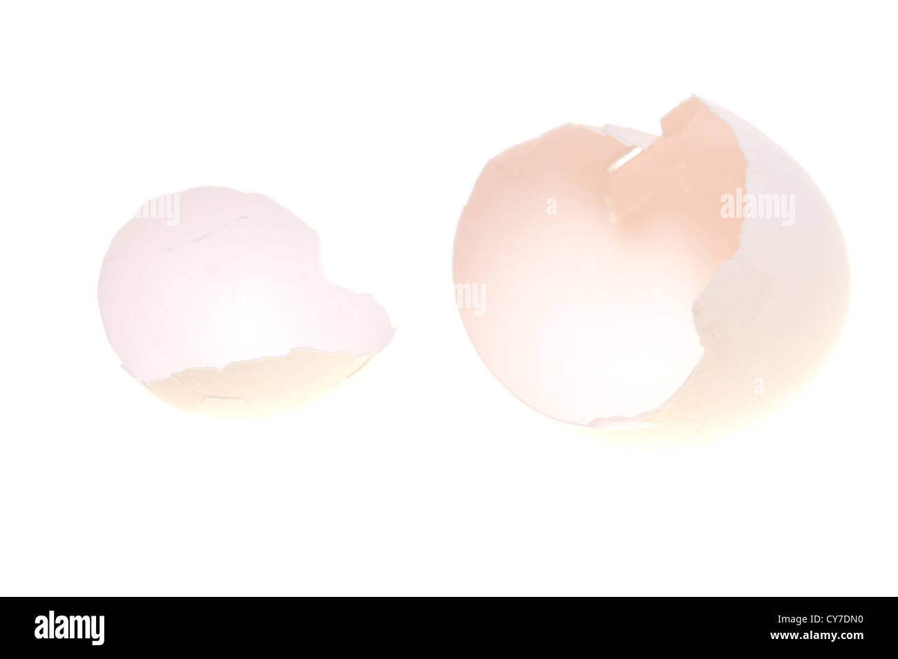 La coquille des œufs cassés isolé sur fond blanc Banque D'Images