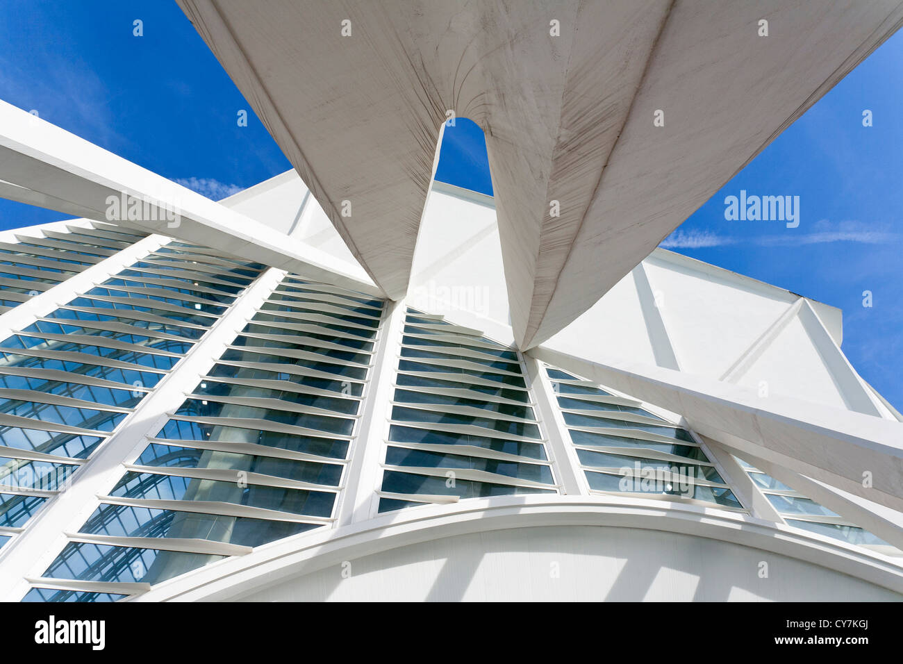 L'architecture du Musée des sciences Príncipe Felipe à Valence Banque D'Images