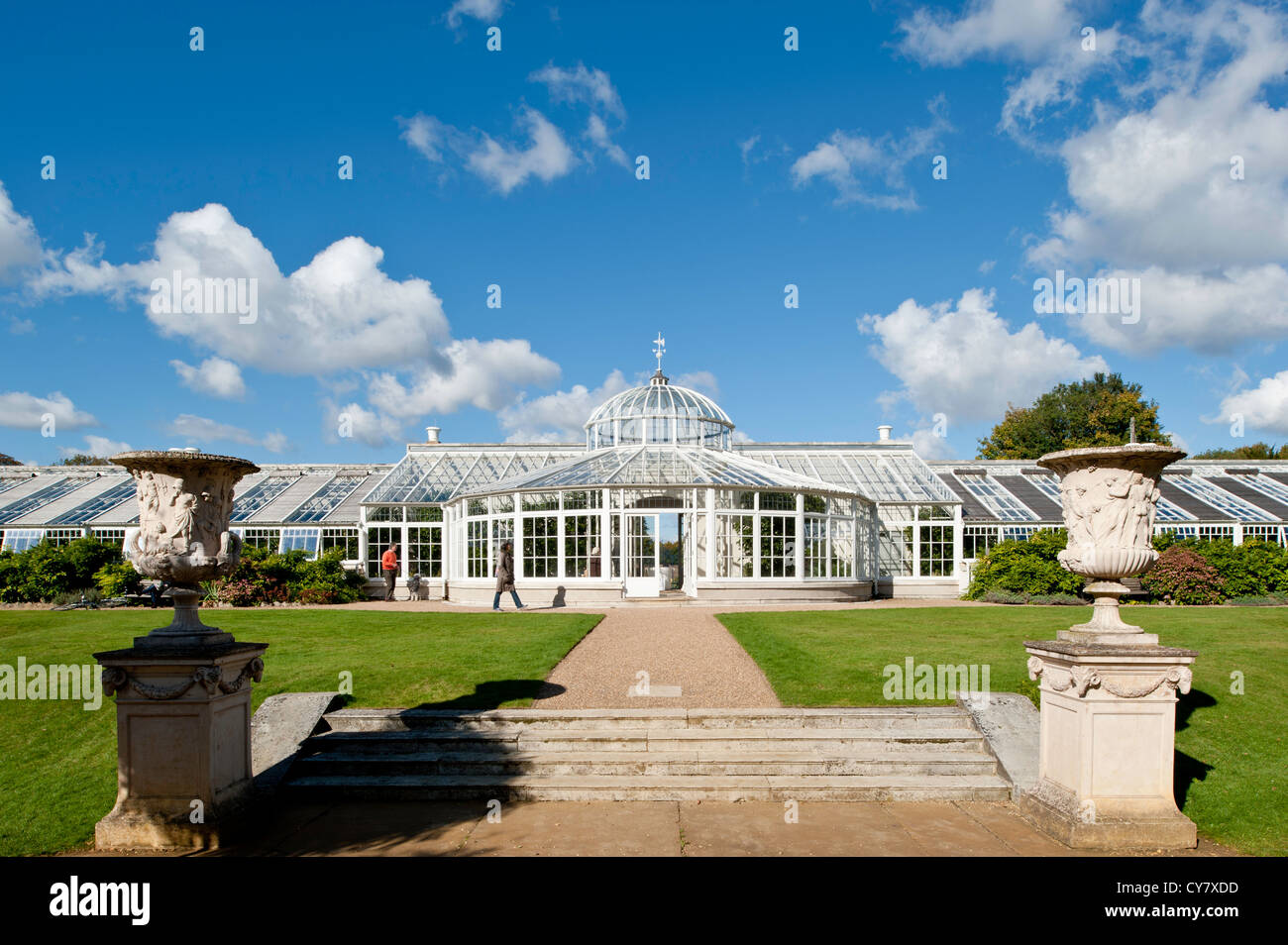 Chiswick House Gardens Conservatory à Chiswick, Londres, Royaume-Uni Banque D'Images