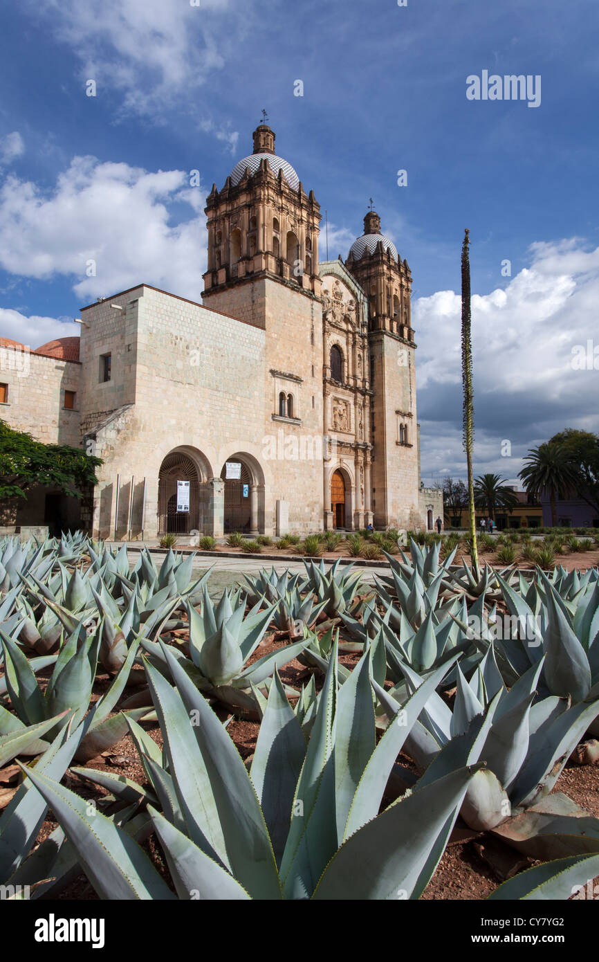 Cactus agave bleu et l'église Santo Domingo dans le centre historique d'Oaxaca, Mexique Banque D'Images