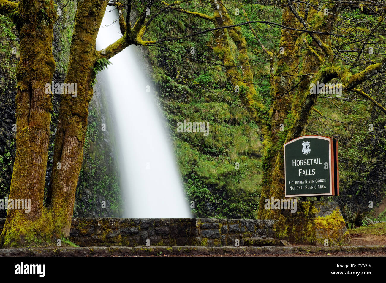 La prêle Falls, Columbia River Gorge National Scenic Area, Oregon, USA Banque D'Images