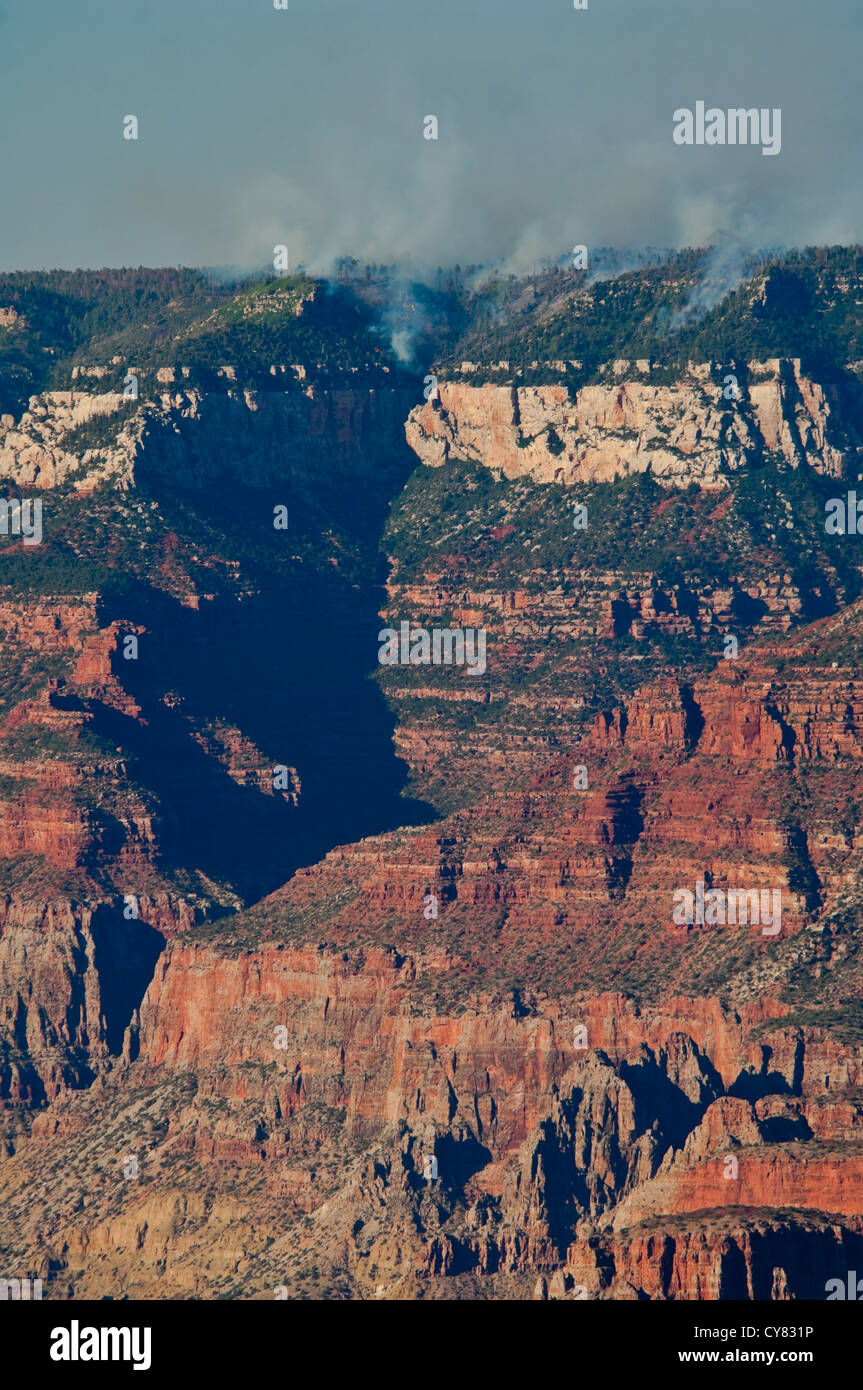 Vue d'un feu de forêt sur la rive nord du Grand Canyon, le Parc National du Grand Canyon, Arizona Banque D'Images