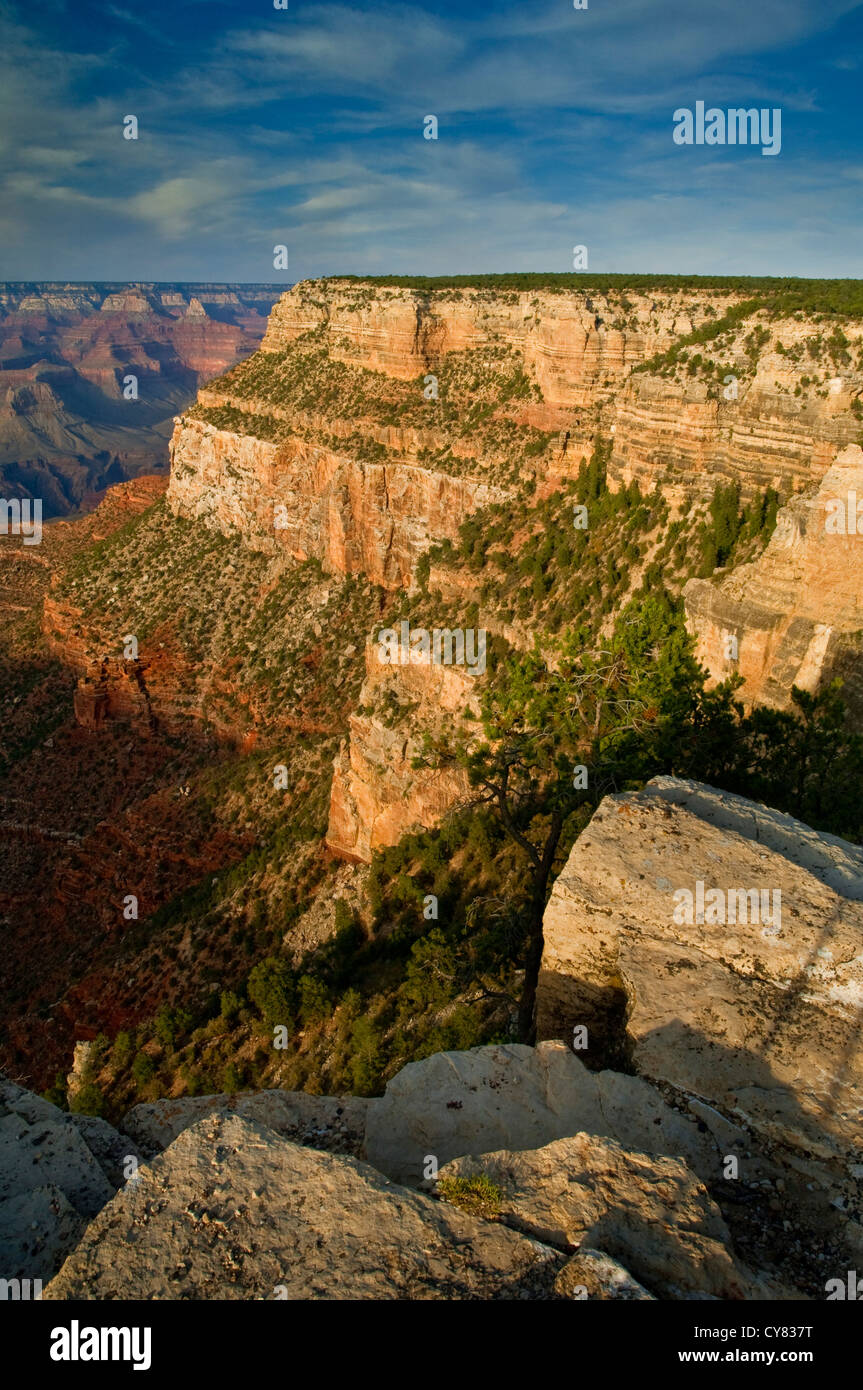Rive Sud, le Parc National du Grand Canyon, Arizona Banque D'Images