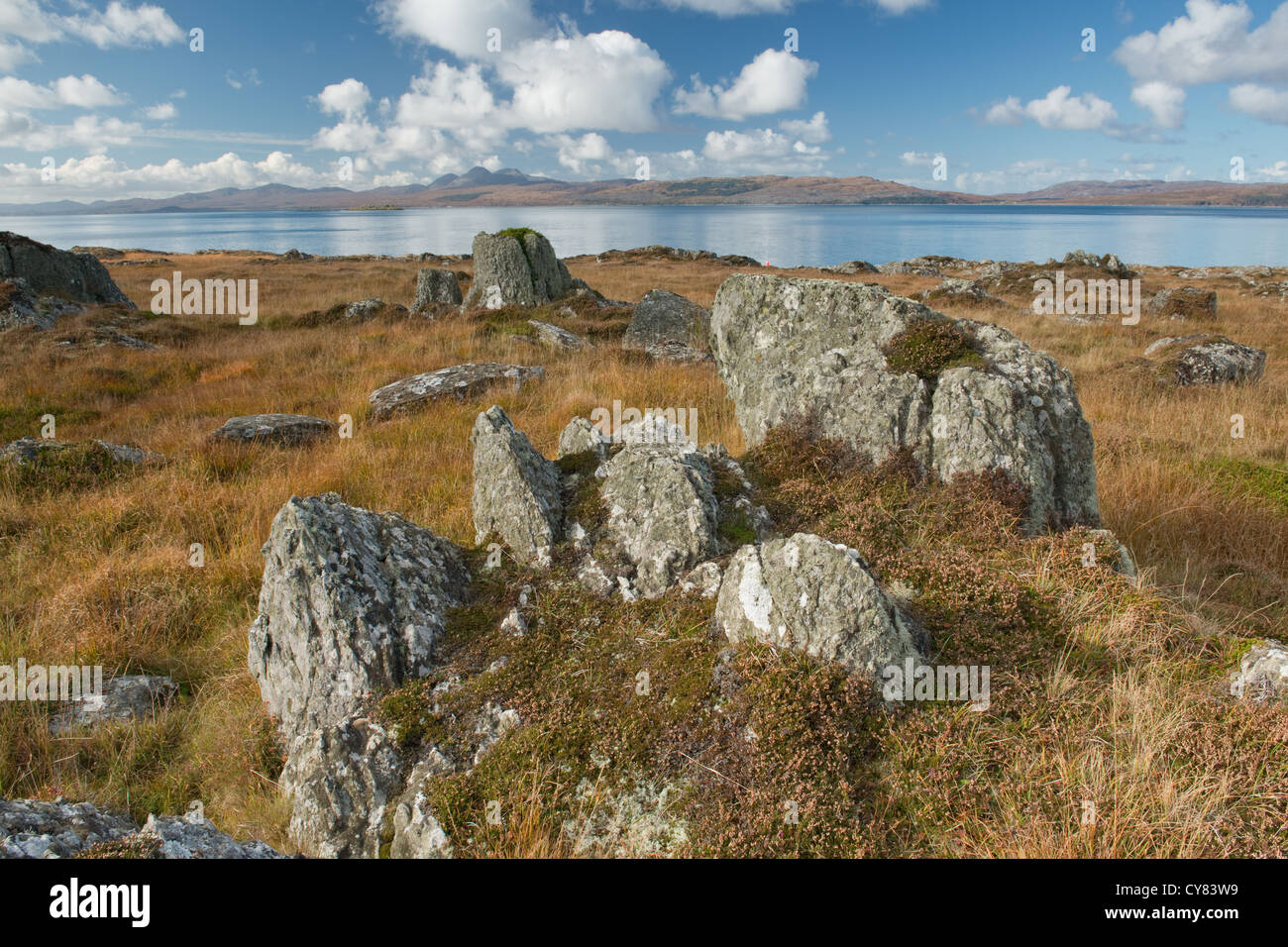 Les roches métamorphiques faisant saillie au heather le long de la côte. Tayvallich péninsule et Jura, Ecosse Banque D'Images
