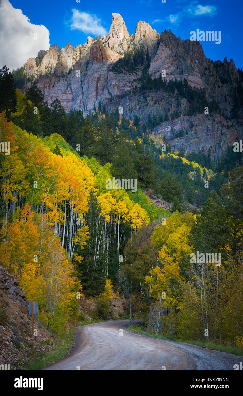 Les trembles sur colline dans les montagnes de San Juan Colorado avec Silver Mountain Peak dans l'arrière-plan Banque D'Images