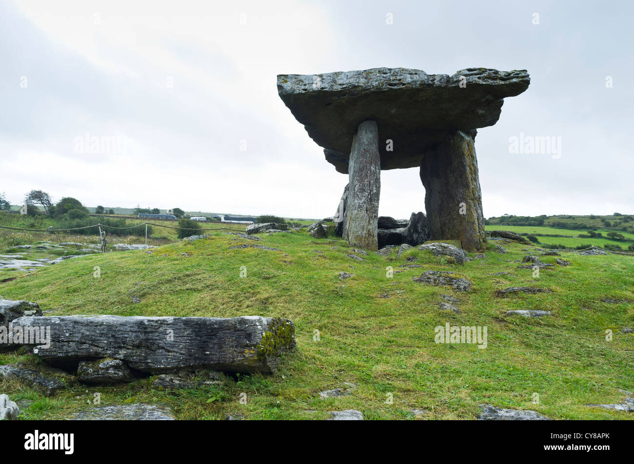 Portail de Poulnabrone tombe dans le Burren dans le comté de Clare, Irlande Banque D'Images