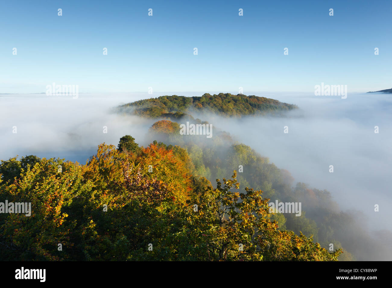 Brouillard dans la vallée de la Wye à Symonds Yat. Herefordshire. L'Angleterre. UK. Banque D'Images