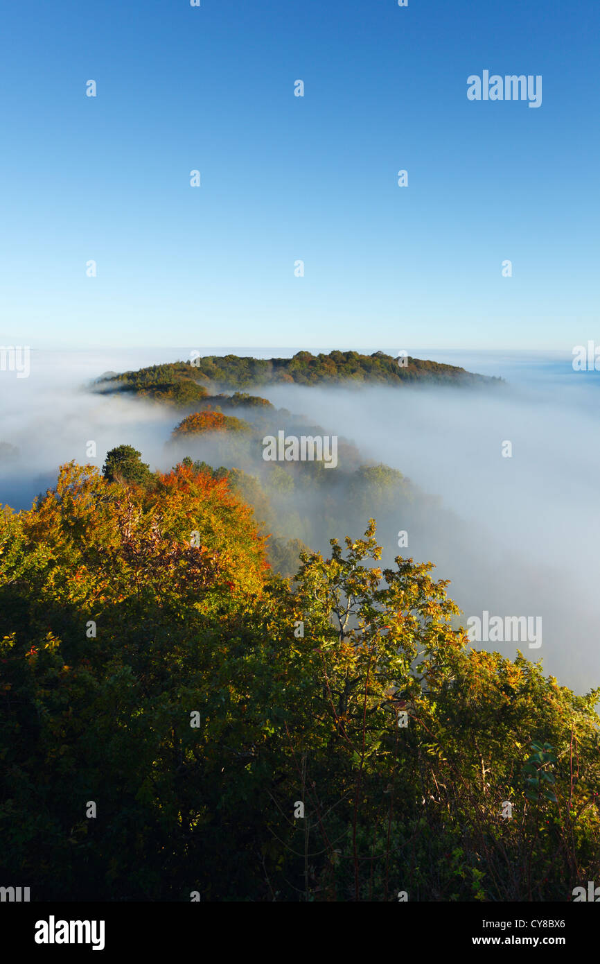 Brouillard dans la vallée de la Wye à Symonds Yat. Herefordshire. L'Angleterre. UK. Banque D'Images